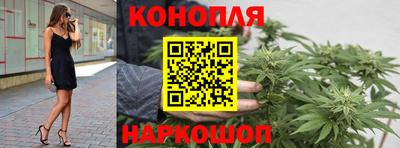 дмт Будённовск
