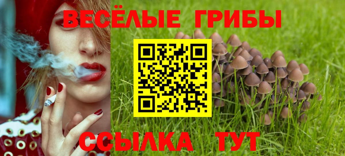 Псилоцибиновые грибы мухоморы  Вход с VPN  Благодарный 
